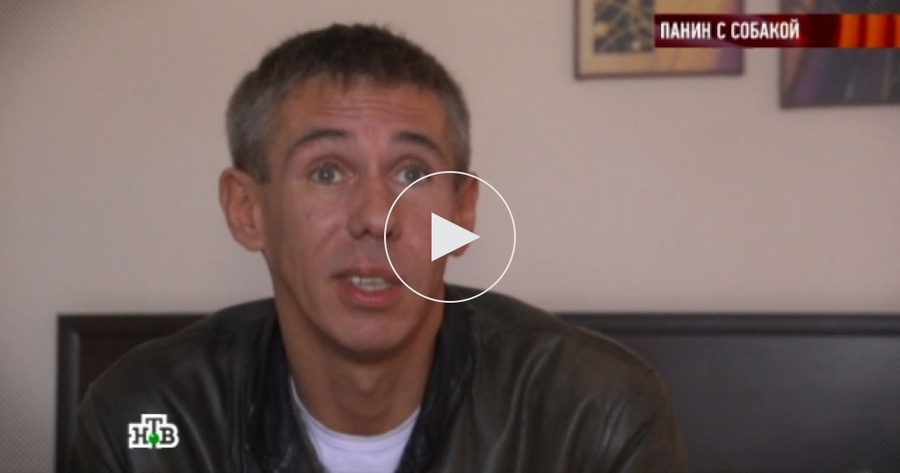 смотреть видео панин и собака